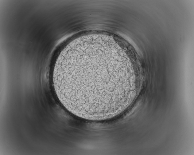 X0000086920971200705141719