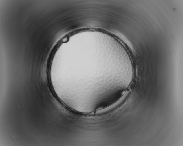 X0000086920972200705141719