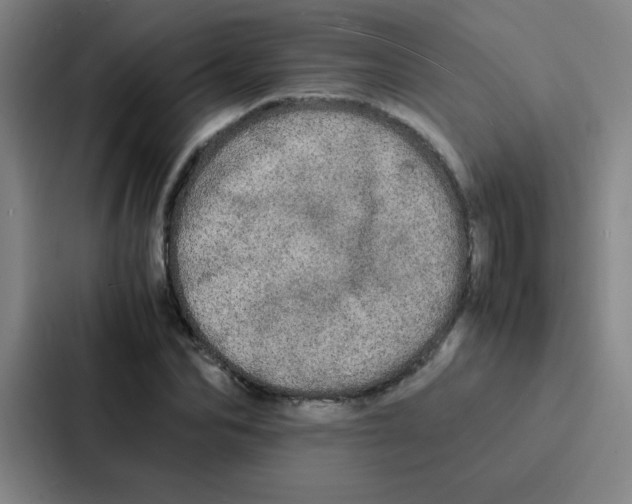X0000086920974200705141719