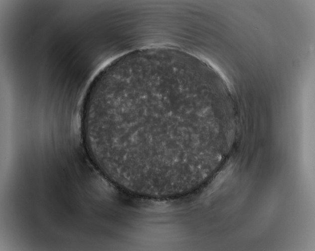 X0000086920975200705141719