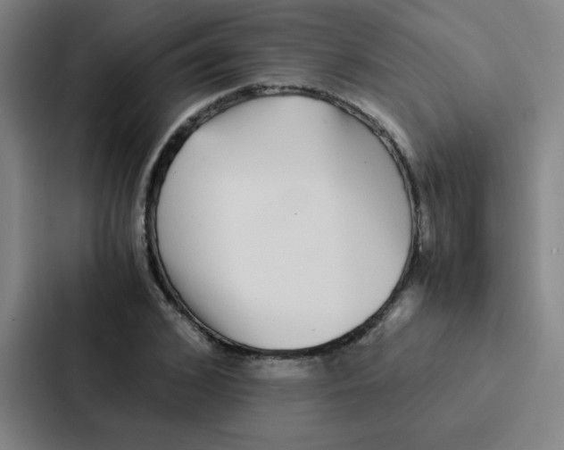 X0000086920976200705141719