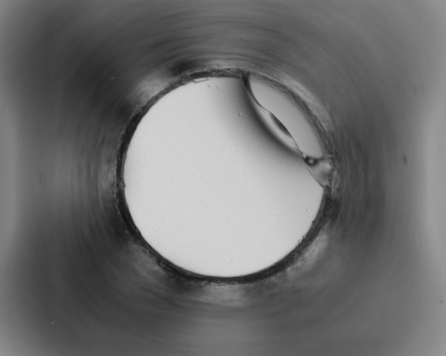 X0000086920977200705141719