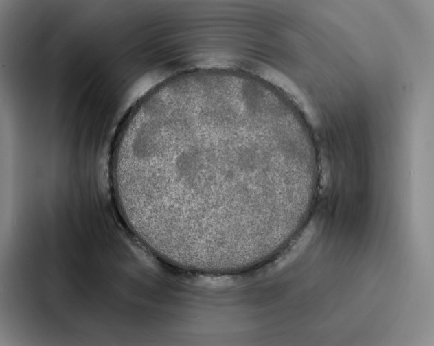 X0000086920978200705141719