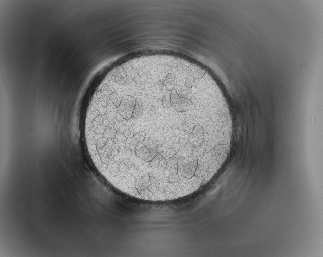 X0000086920979200705141719