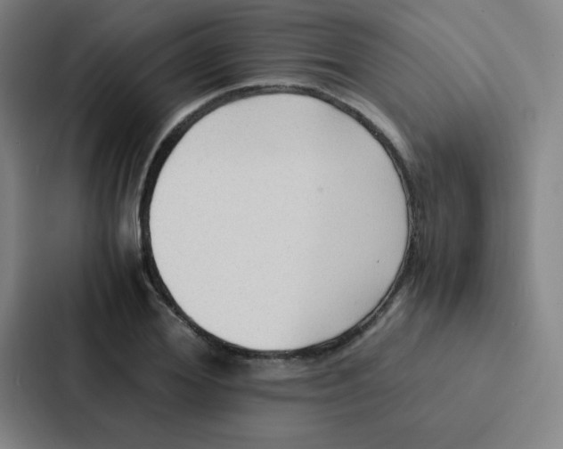 X0000086920980200705141719
