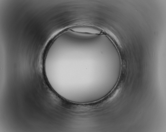 X0000086920981200705141719