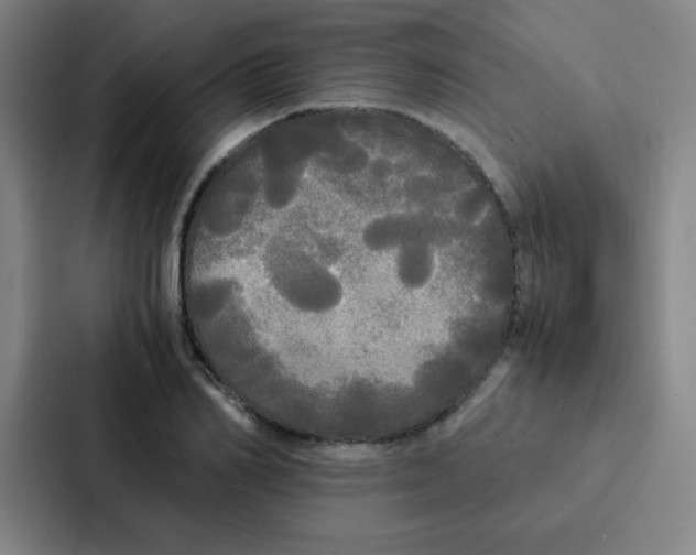 X0000086920982200705141719