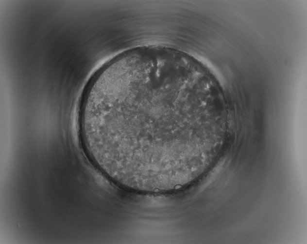 X0000086920983200705141719