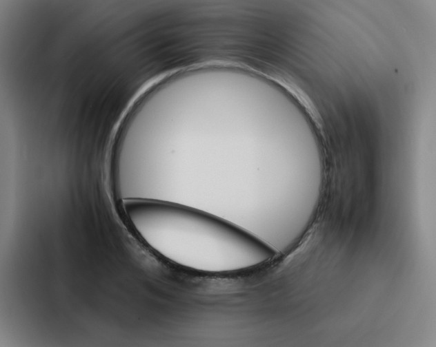 X0000086920984200705141719