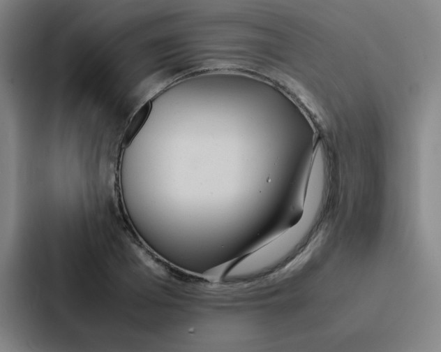 X0000086920985200705141719