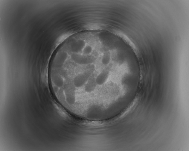 X0000086920986200705141719