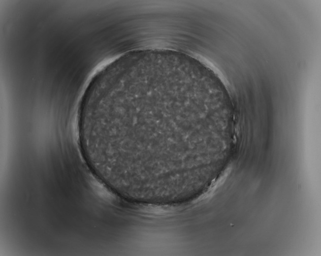 X0000086920987200705141719