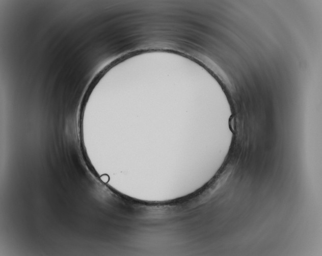 X0000086920988200705141719