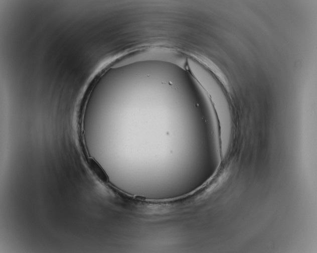 X0000086920989200705141719