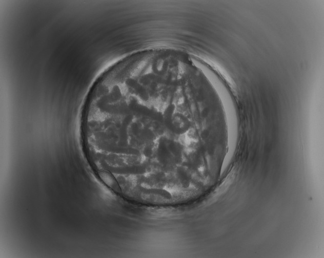X0000086920991200705141719