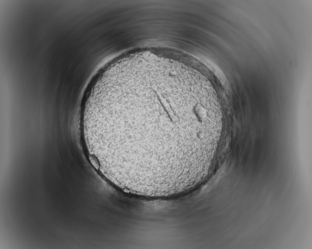 X0000086920992200705141719