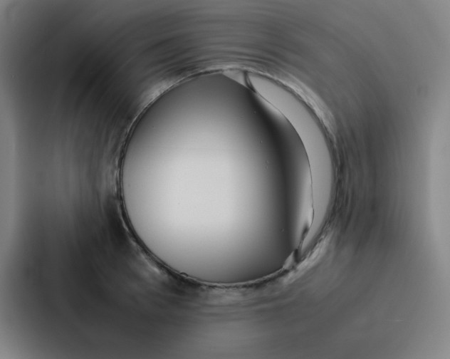 X0000086920993200705141719
