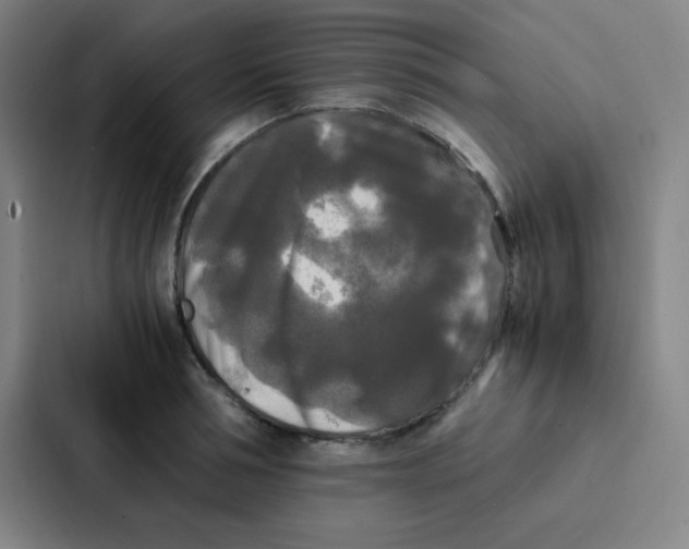X0000086920994200705141719