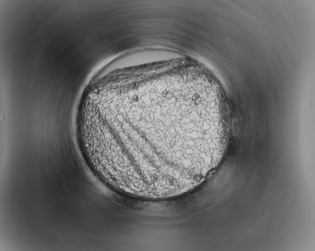 X0000086920995200705141719