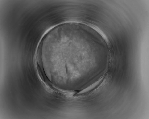 X0000086920996200705141719