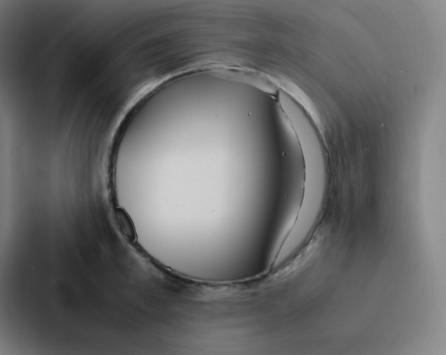 X0000086920997200705141719