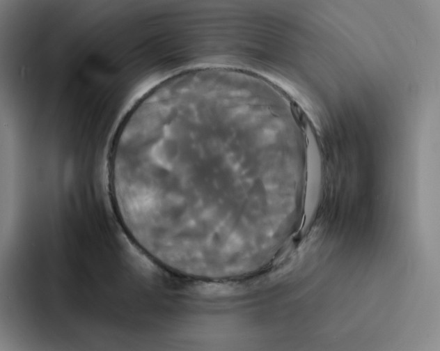 X0000086920998200705141719