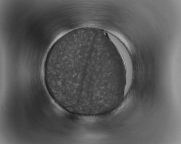 X0000086920999200705141719
