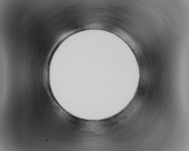 X0000086921000200705141719
