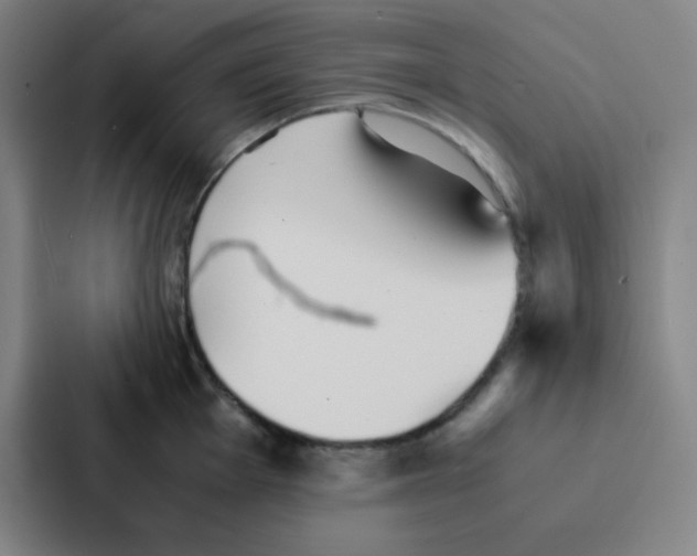 X0000086921001200705141719