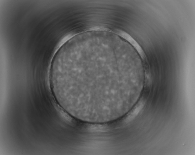 X0000086921002200705141718