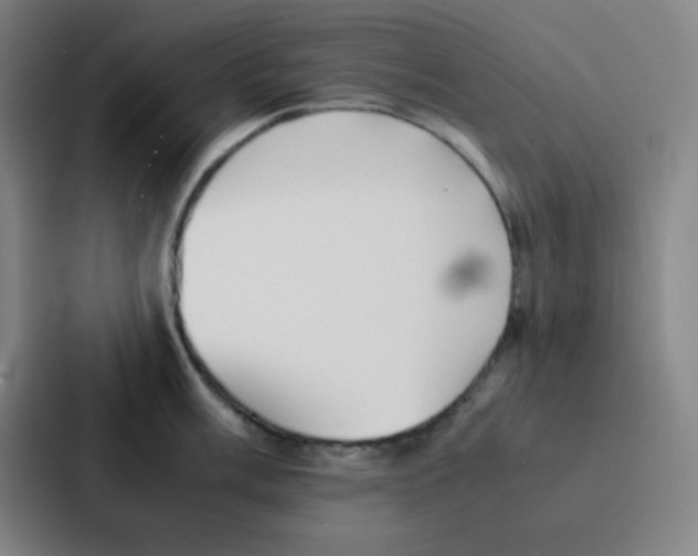 X0000086921003200705141718