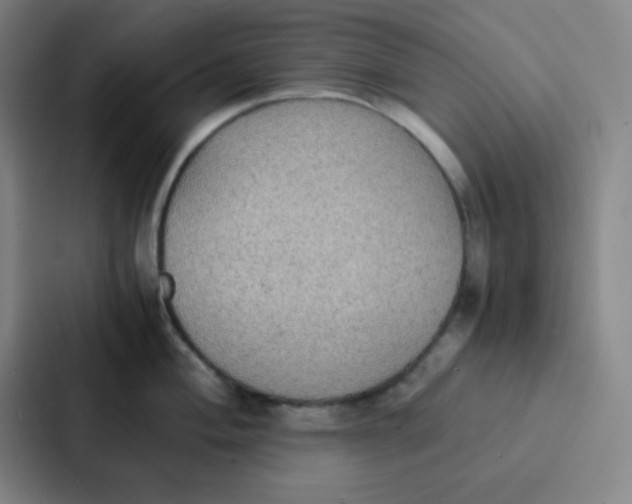 X0000086921004200705141718