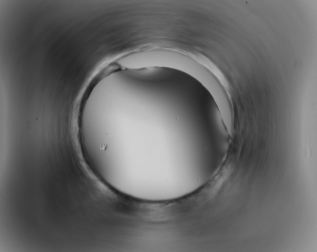 X0000086921005200705141718