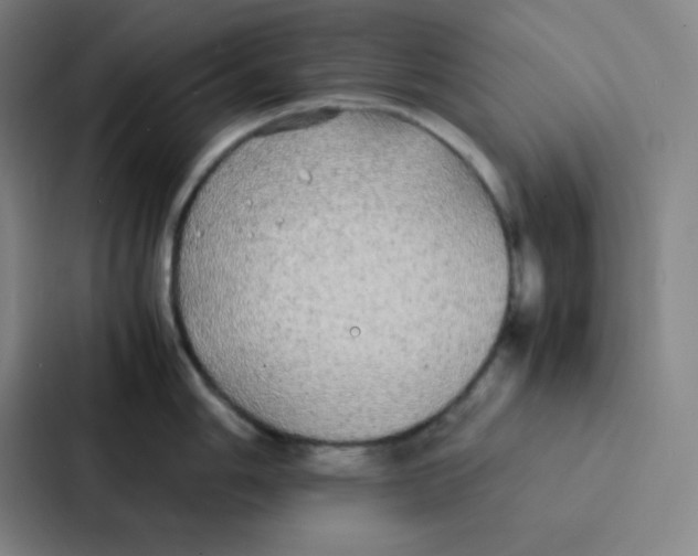 X0000086921006200705141718