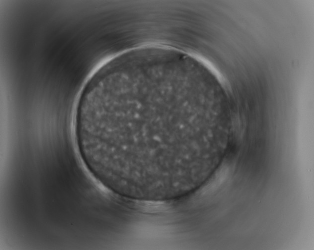 X0000086921007200705141718