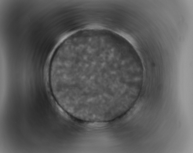 X0000086921008200705141718