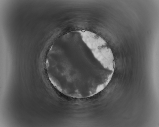X0000086921009200705141718