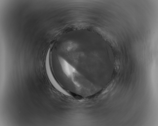 X0000086921010200705141718