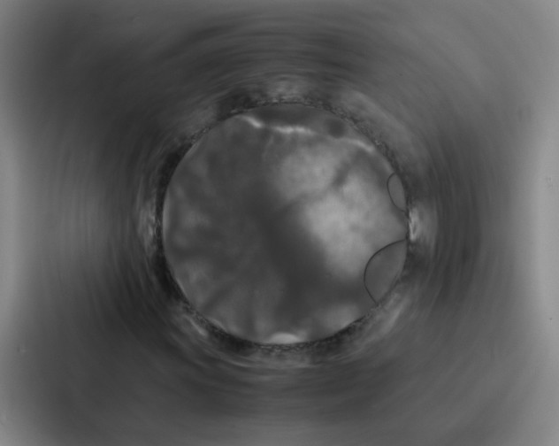 X0000086921011200705141718