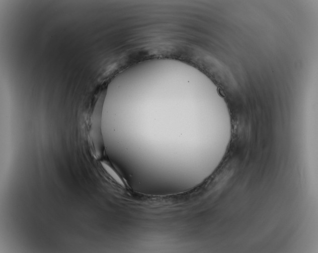 X0000086921012200705141718