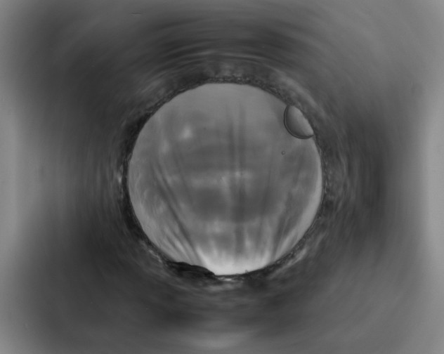 X0000086921013200705141718