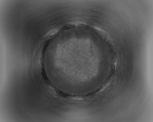 X0000086921014200705141718