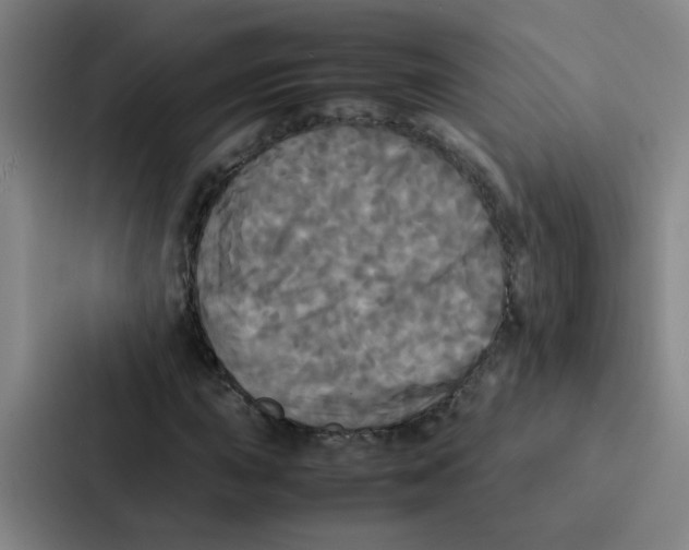 X0000086921015200705141718