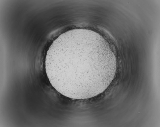 X0000086921016200705141718