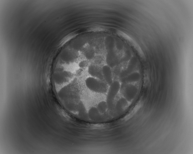 X0000086921017200705141718