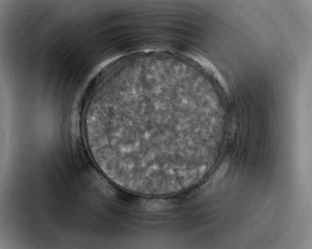 X0000086921019200705141718