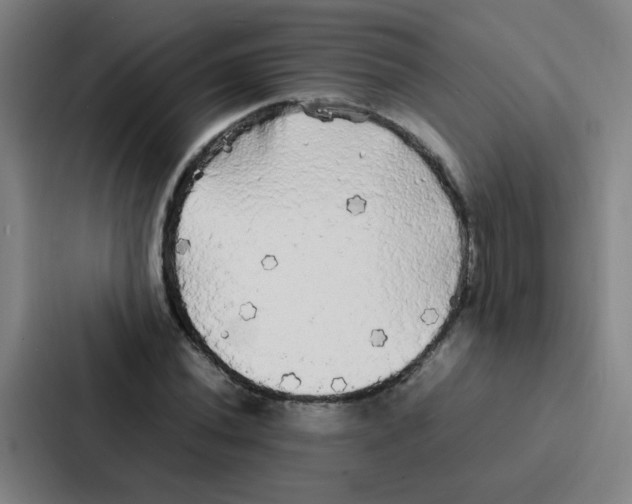 X0000086921020200705141718