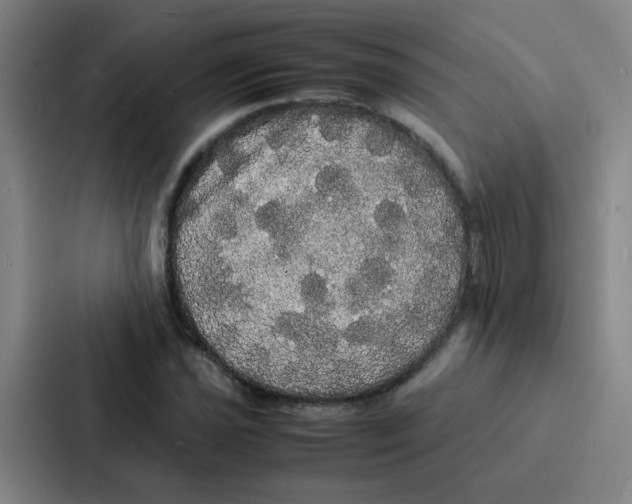 X0000086921021200705141718