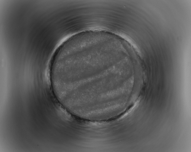 X0000086921022200705141718