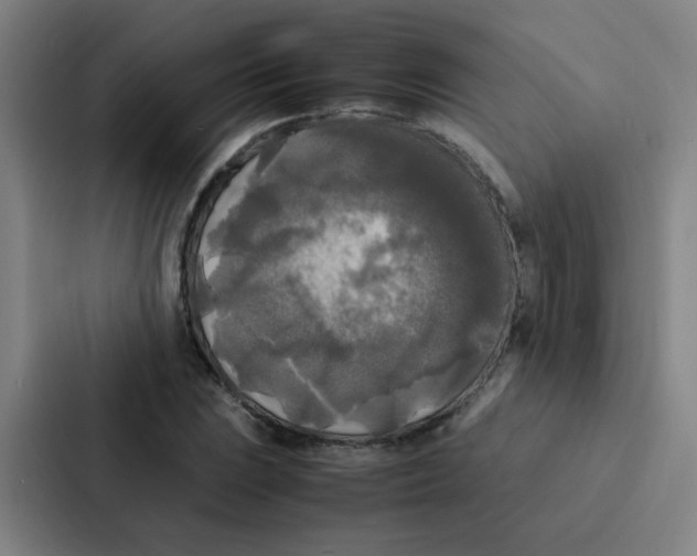 X0000086921023200705141718